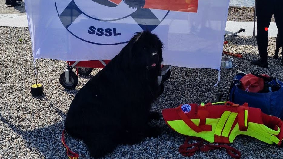 Inizio della Scuola Cani di Salvataggio – 1° Giugno ’24
